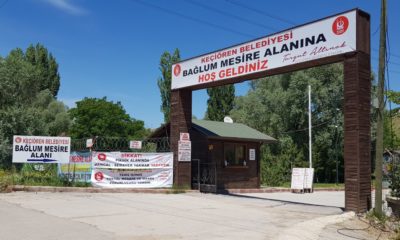 Bağlum Mesire Alanı-GALERİ