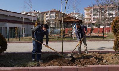 Okul bahçesi ağaçlandırıldı