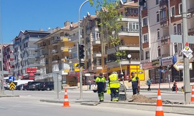 Bağlum Bulvarı daha yeşil
