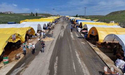 BAĞLUM’DA KONFORLU KURBAN PAZARI